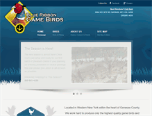 Tablet Screenshot of blueribbongamebirds.com